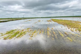 WhatsApp Image 2026-04-11 at 19.39.08