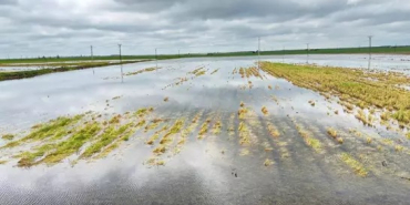 WhatsApp Image 2026-04-11 at 19.39.08