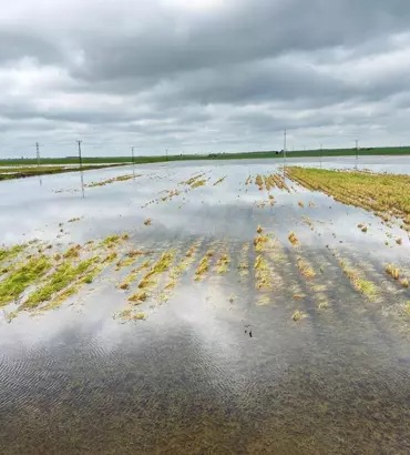 WhatsApp Image 2026-04-11 at 19.39.08