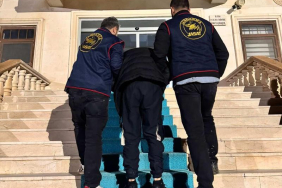 WhatsApp Image 2026-04-17 at 18.45.03